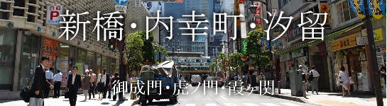 新橋・内幸町・汐留・御成門・虎ノ門・霞ヶ関